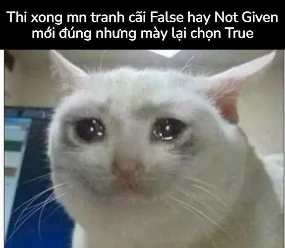 Meme buồn thi cử