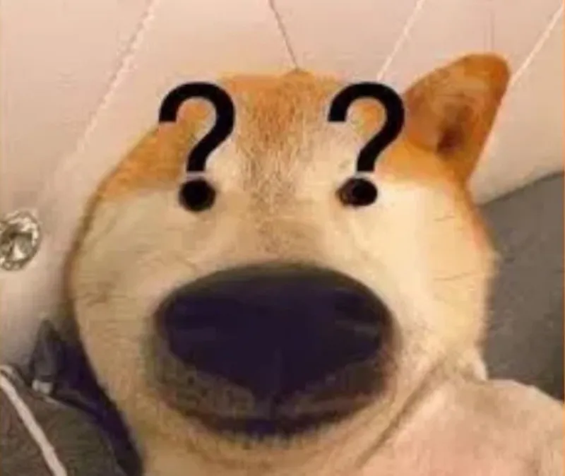 meme chó cắn