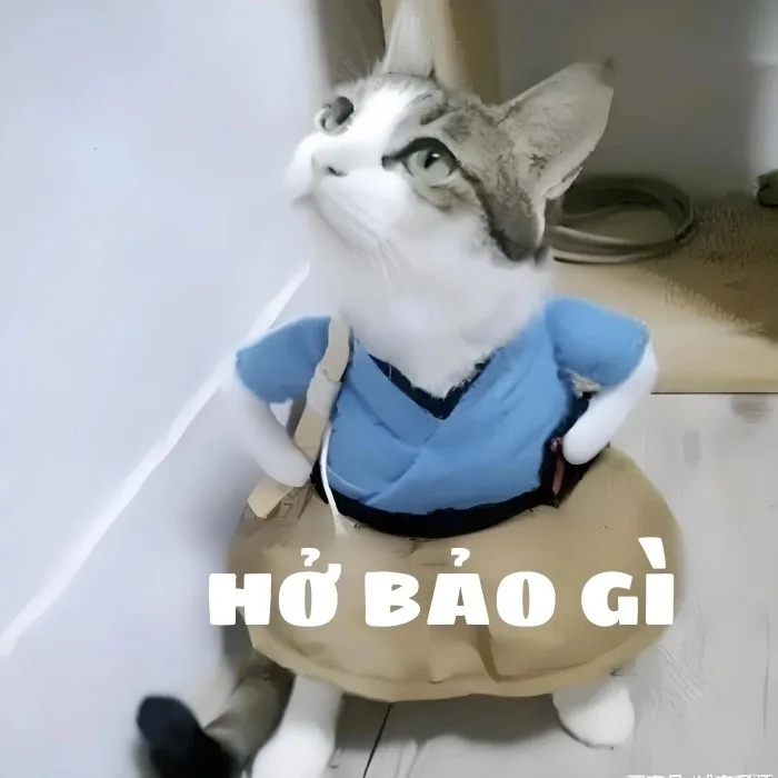 meme chống nạnh