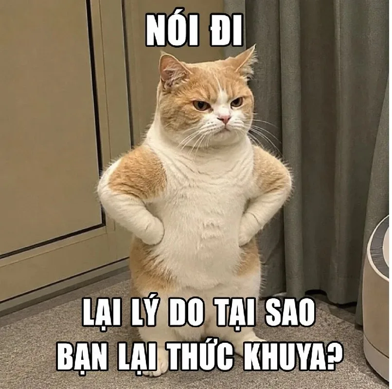 meme chống nạnh