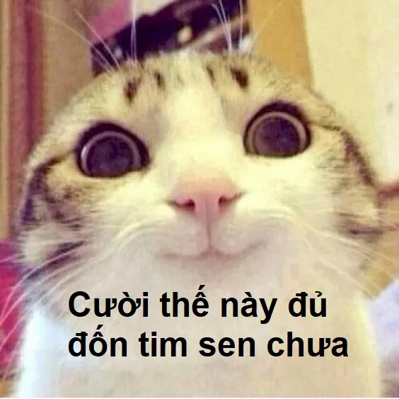 Meme cười mỉm