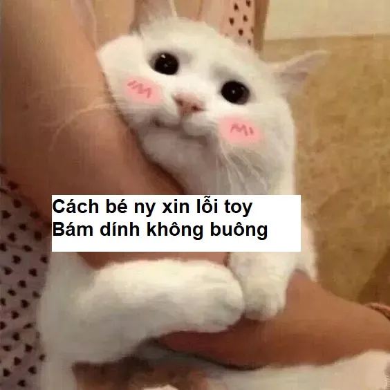 Meme dỗ ny