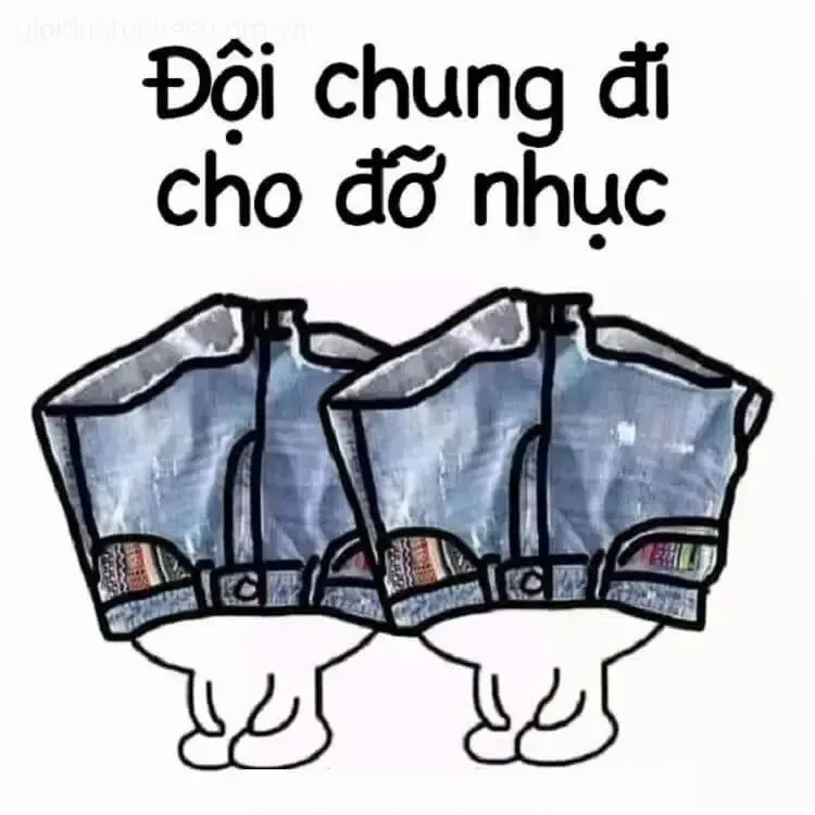 meme đội quần