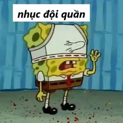 meme đội quần