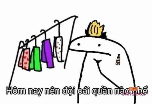 meme đội quần