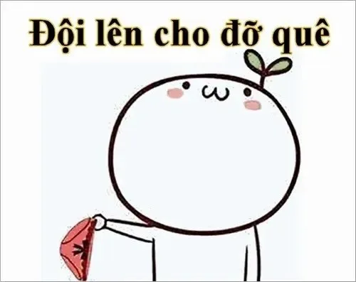 meme đội quần