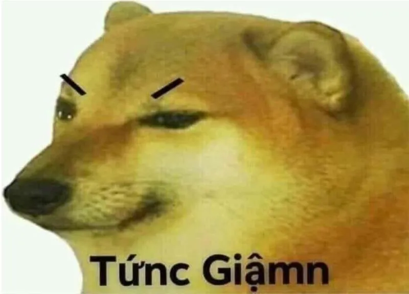 meme đỗi tức giận