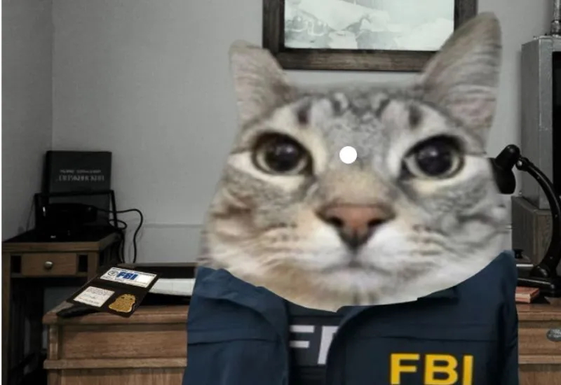 meme fbi chú mèo