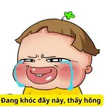Meme khóc giả trân