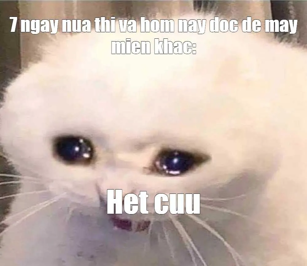 Meme khóc hết cứu