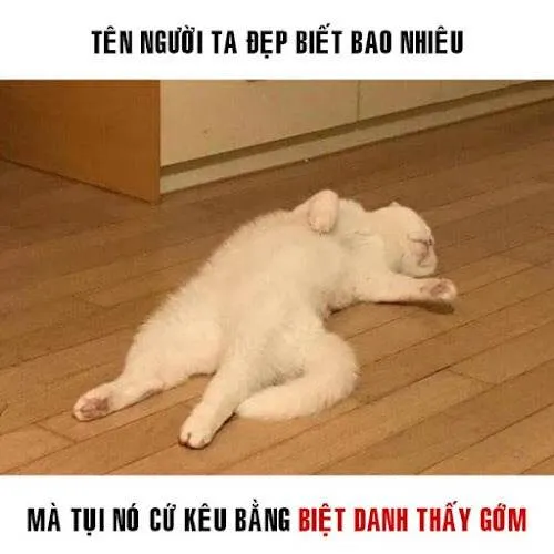 Meme khóc mếu máo dễ thương