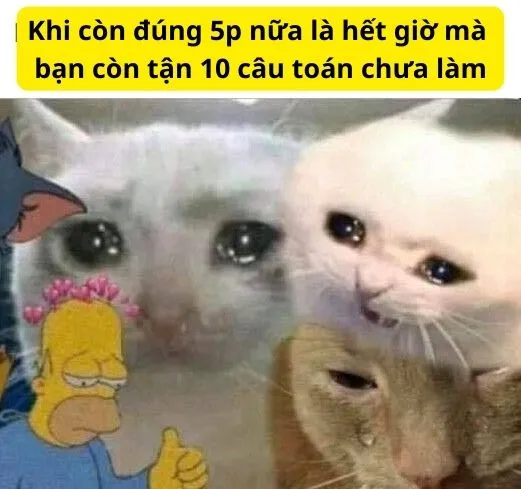 Meme khóc thi toán