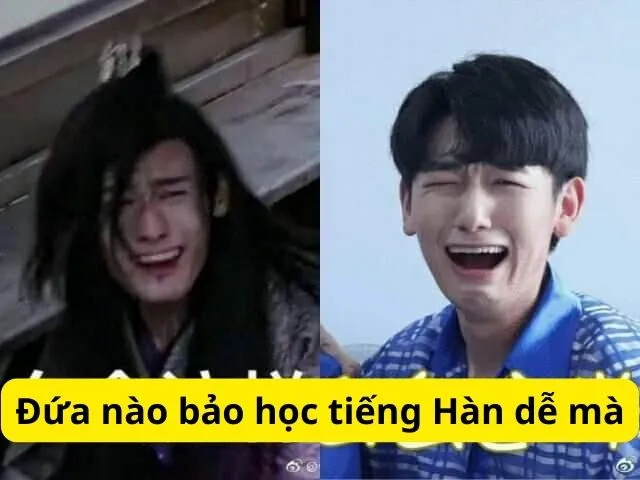 Meme mặt cười khóc cute boy