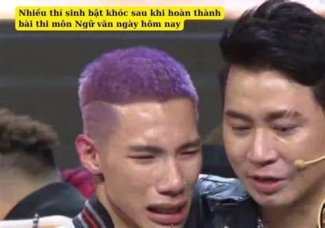 Meme mặt cười khóc thi văn