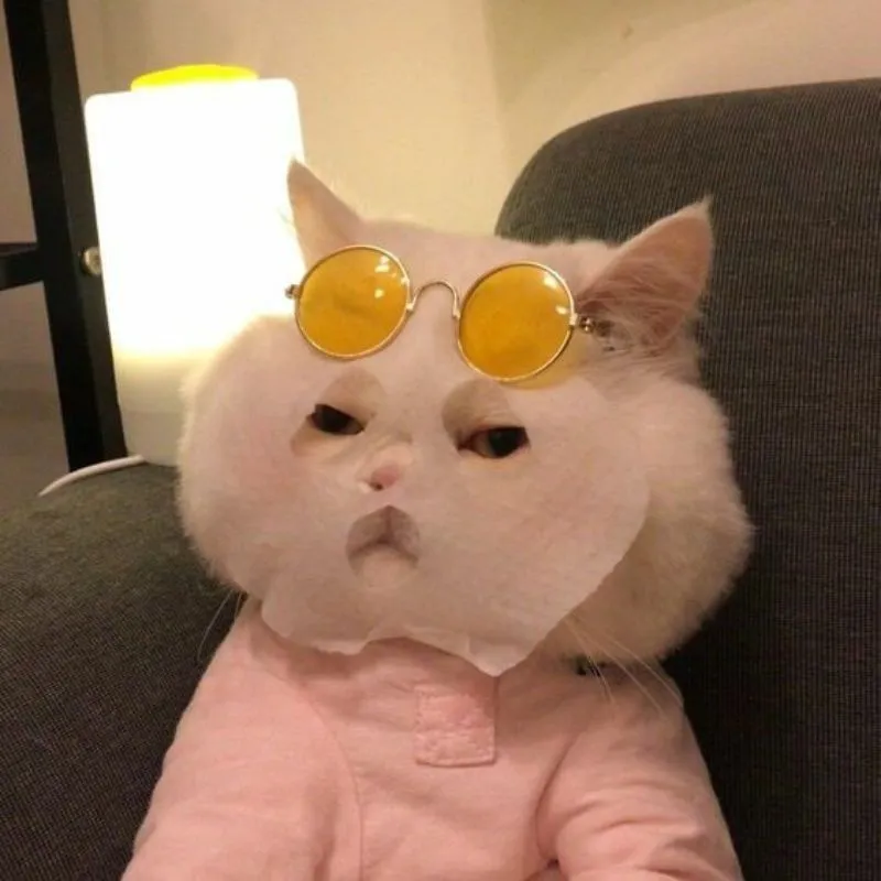meme mèo đắp mặt nạ