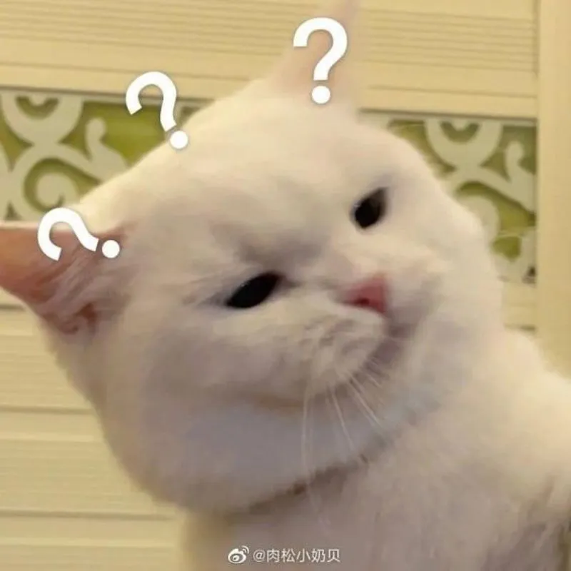 meme mèo khó hiểu