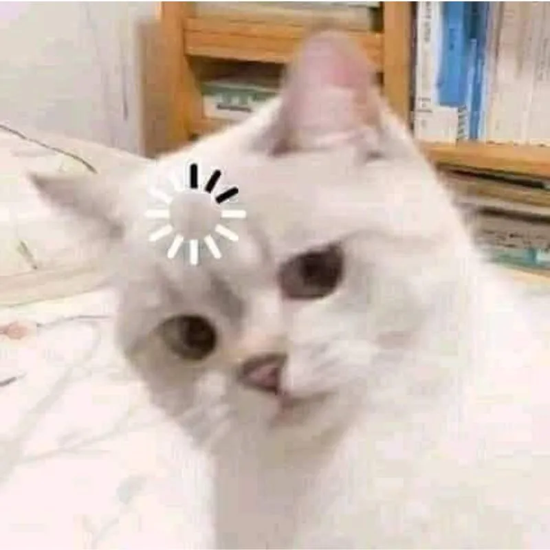 meme mèo loading