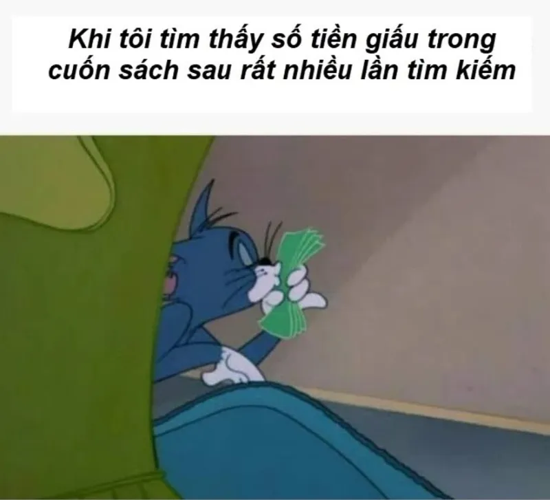 meme mèo tom đẹp