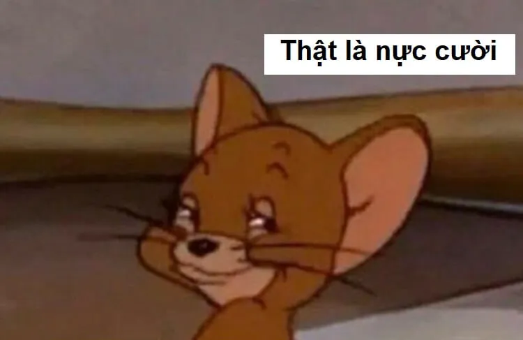 Meme nực cười