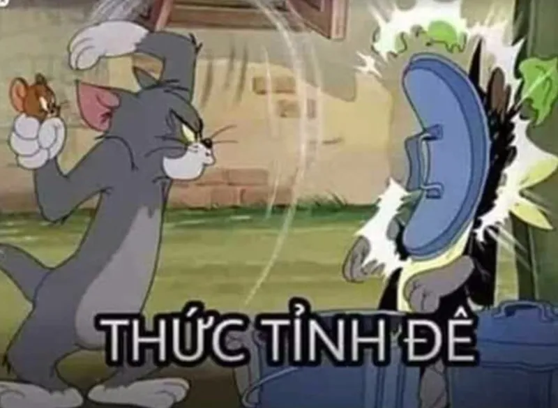 meme tom jerry