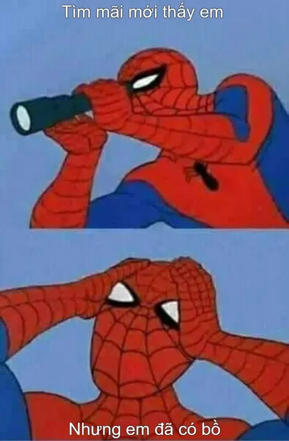 người nhện meme đau khổ ảnh chế