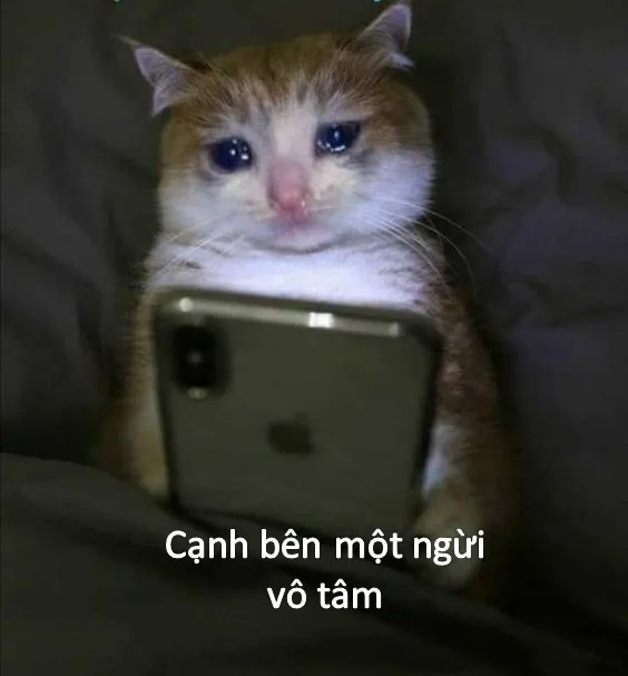 Nguồn gốc của Meme
