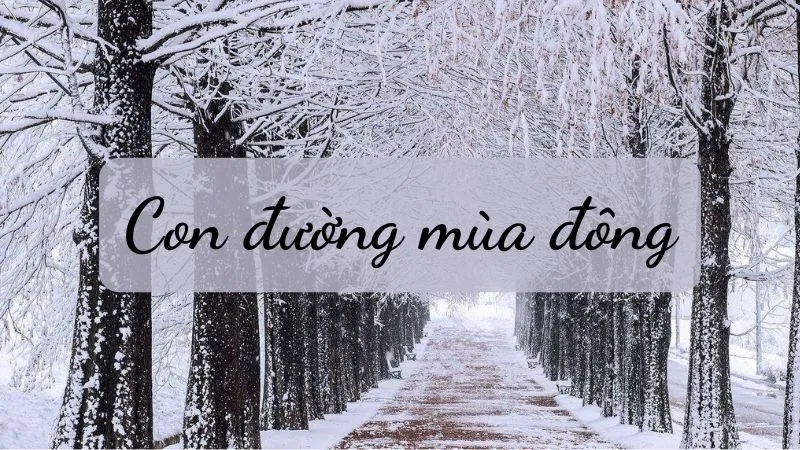 Phân tích bài thơ Con đường mùa đông