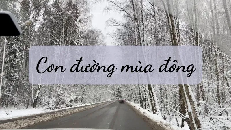 Soạn Con đường mùa đông