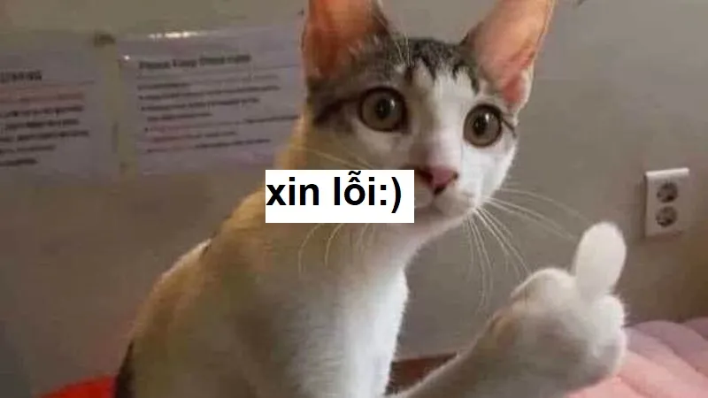 Xin lỗi cái đứa khó ưa