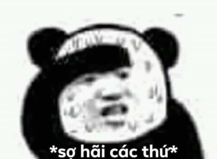 Ảnh meme sợ hãi
