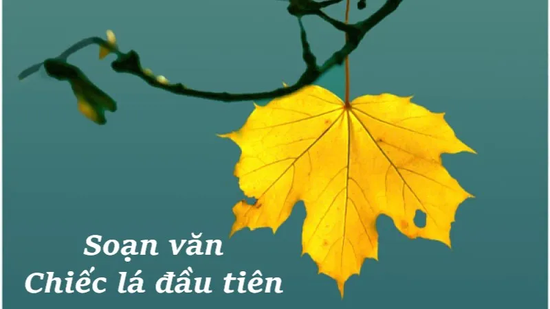 chiếc lá đầu tiên
