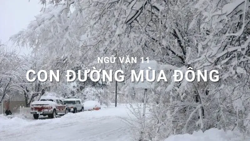 giáo án con đường mùa đông