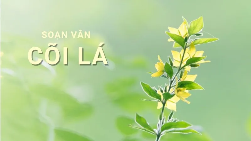 soạn bài cõi lá