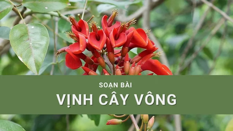 Soạn bài Vịnh cây vông