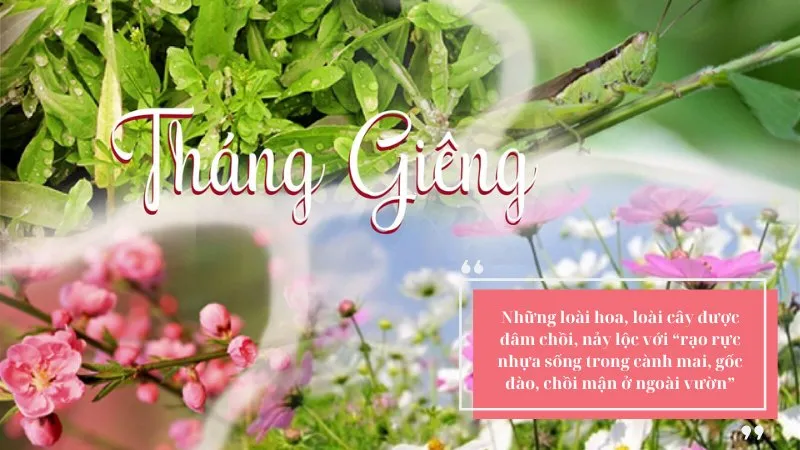 Tháng Giêng, mơ về trăng non rét ngọt - Vũ Bằng