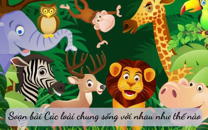 Soạn bài Các loài chung sống với nhau như thế nào – Ngữ Văn 6