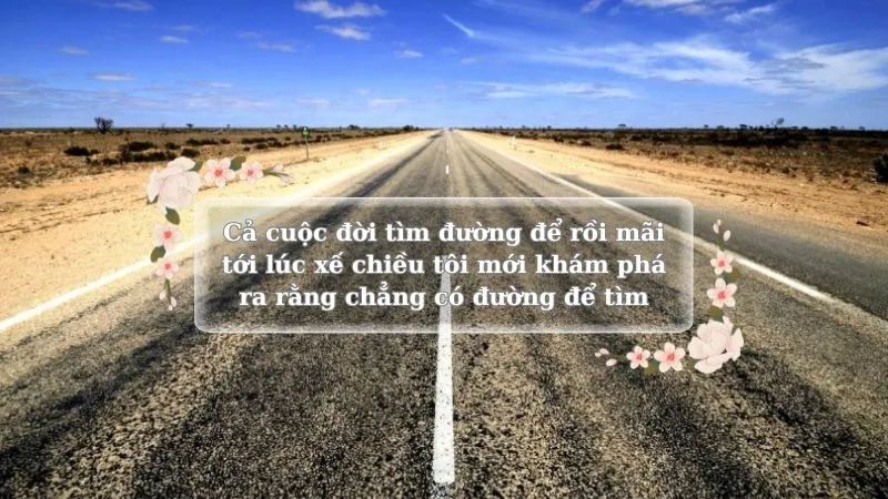 soạn bài một đời như kẻ tìm đường kết nối tri thức