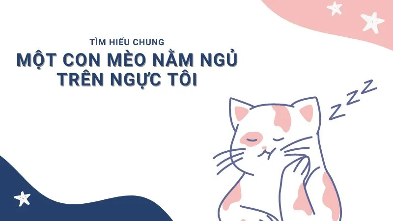 Soạn văn Một con mèo nằm ngủ trên ngực tôi