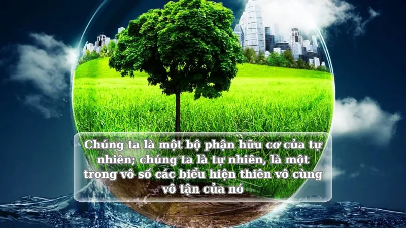 soạn về chính chúng ta
