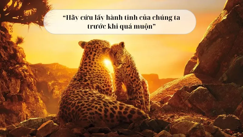 văn bản choáng ngợp và đau đớn những cảnh báo từ loạt phim hành tinh của chúng ta