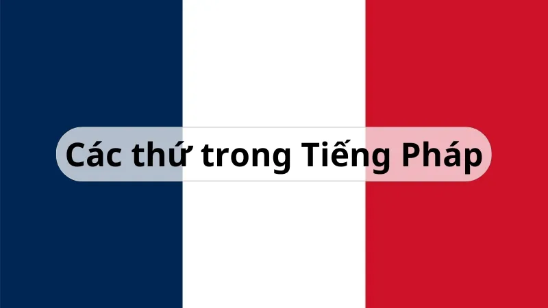 các thứ trong tiếng pháp