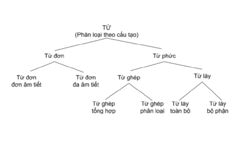 Cấu tạo từ trong tiếng Việt