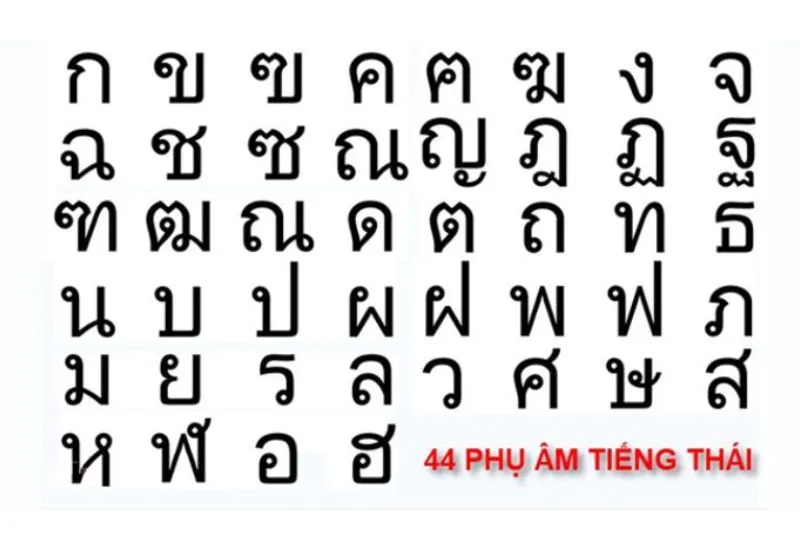 học tiếng thái lan