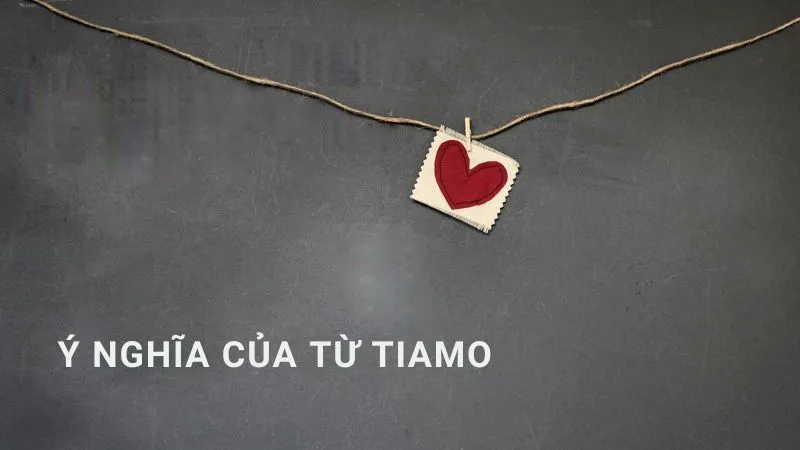 tiamo trong tiếng pháp là gì