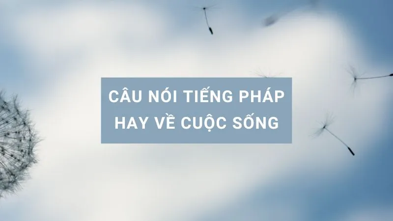 caption tiếng pháp ngắn