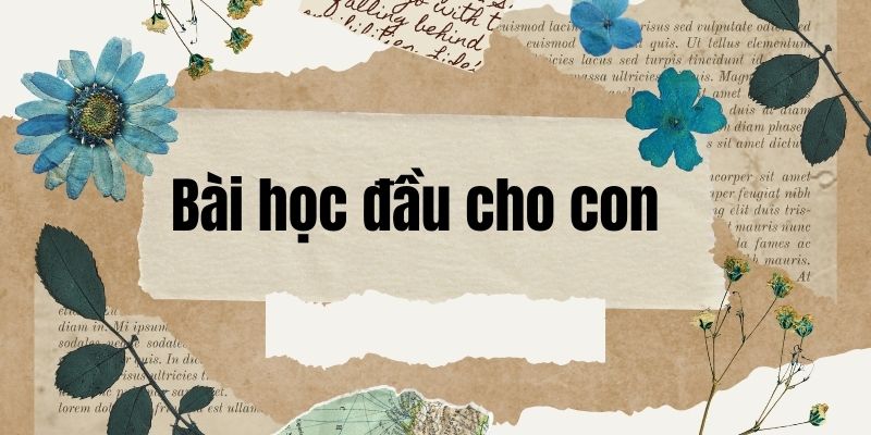 Bài học đầu cho con (Đỗ Trung Quân)