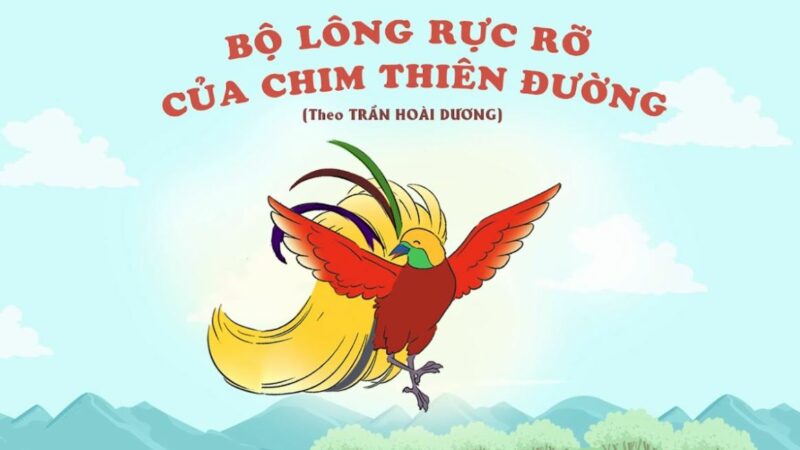 Bộ lông rực rỡ của chim thiên đường trang 70 Tiếng Việt lớp 3 Tập 1 Cánh diều