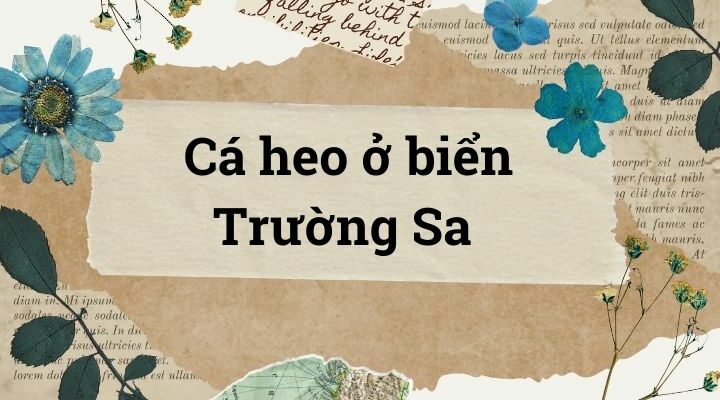 Bài 1: Cá heo ở biển Trường Sa – Tiếng Việt lớp 4 Chân trời sáng tạo