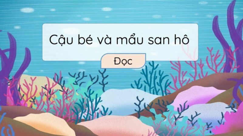Bài 1: Cậu bé và mẩu san hô Tiếng Việt lớp 3 Chân trời sáng tạo