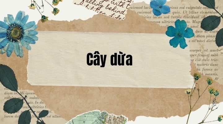 Bài 3: Cây dừa | Tiếng Việt lớp 2 Chân trời sáng tạo